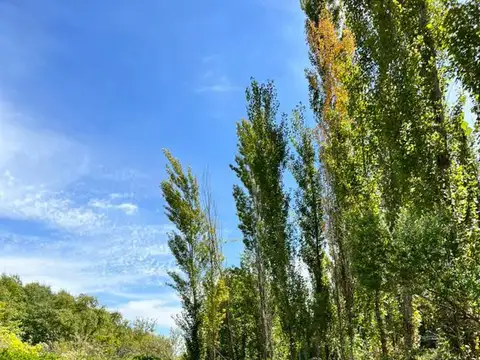 Terreno - Roldán