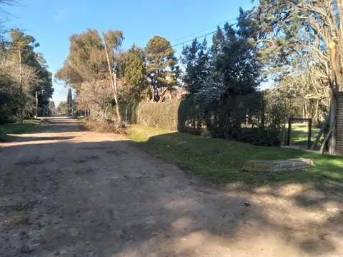 Los Tilos 1000