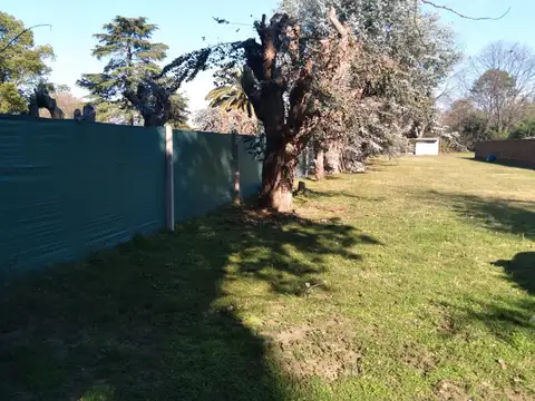 Los Tilos 1000