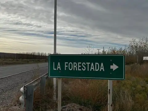 Seis lotes en venta, la forestada, añelo, neuquen