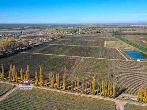 Finca de 33 hectáreas a la Venta en Agrelo