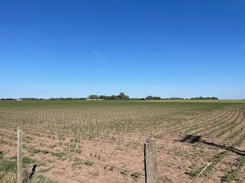Campo de excelente calidad de suelos RESERVADO.