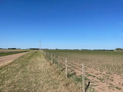 Campo de excelente calidad de suelos RESERVADO.