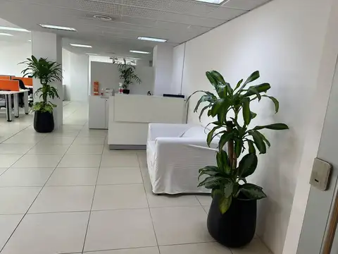 Oficina en Alquiler con 2 cocheras