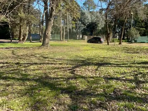 Terreno en Venta 8  mts Frente