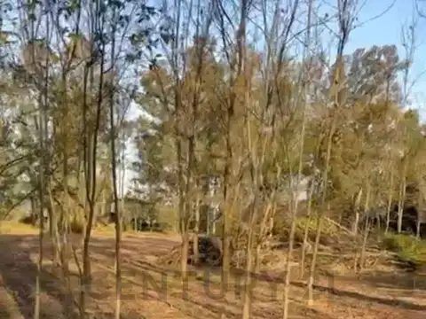 Campo en Venta de 3,43  ha