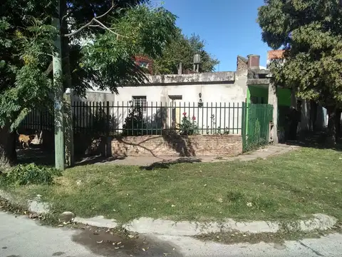 CastaÑon 1306