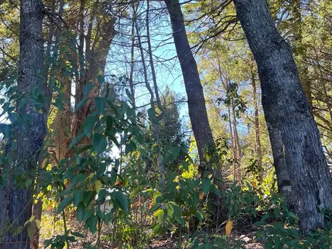 Terreno en Venta de 517,0 m2