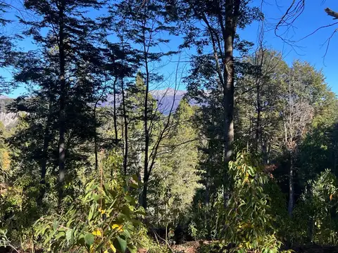 VENTA Lote/Terreno 517m2 barrio cerrado SELVANA Villa La Angostura