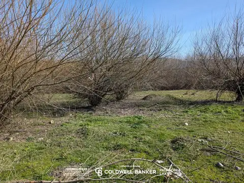 Terreno en Venta en El Bolsón, USD 22.000