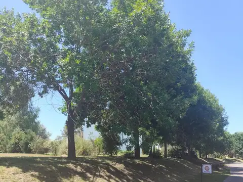 Lote de Terreno de 1200 m2 en Venta en el Club de Campo Los Palenques en Manzanares.