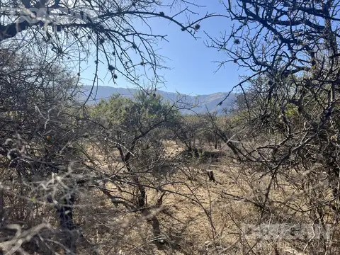 Terreno en Venta 225  mts Fondo