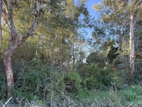 AUR. Venta Lote 760 m2. Larreta al 700, Parque Sakura. Exaltacion de la Cruz