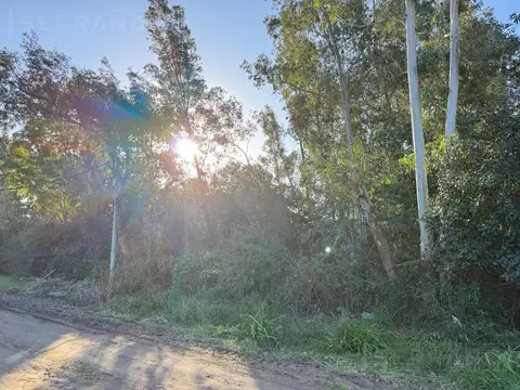 Terreno en Venta 38  mts Fondo