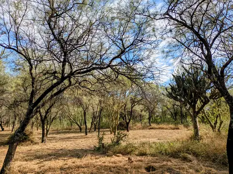 Las Tapias, San Javier, Traslasierra