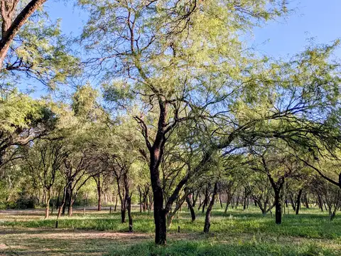 Terreno en Venta de 3500,0 m2