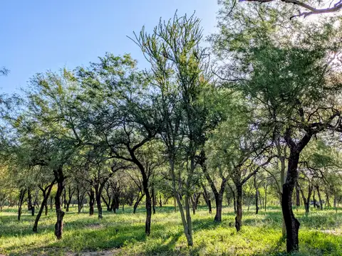 Terreno en Venta en Las Tapias, USD 20.000