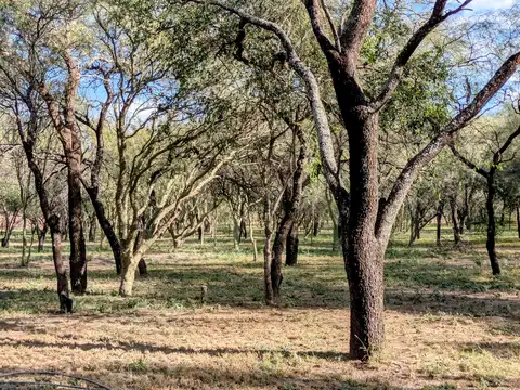 Las Tapias, San Javier, Traslasierra