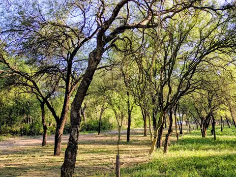 Las Tapias, San Javier, Traslasierra