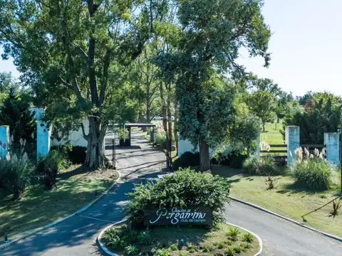 Terreno en venta - 1,500Mts2 - Pergamino