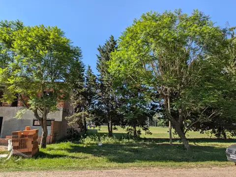 Terreno en Venta de 300,0 m2