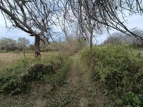 VENTA TERRENO EN CAMINO DE LA COSTA