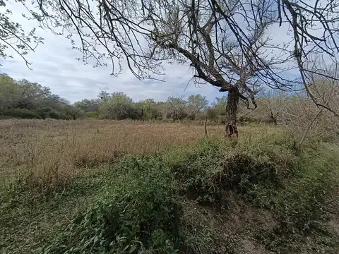 Camino de la Costa