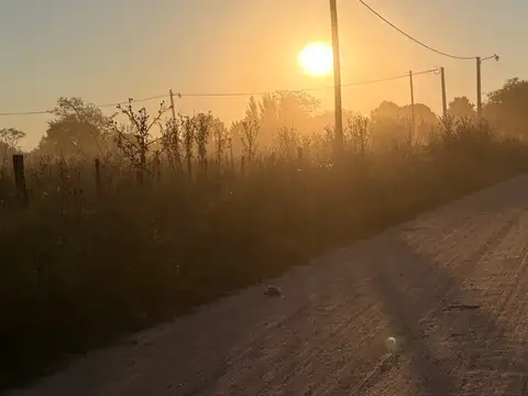 Terreno en Venta 34  mts Fondo