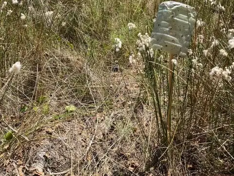 Terreno en Venta en Nueva Atlantis, Partido de La Costa