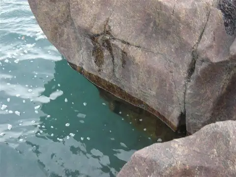 Terreno en venta en Puerto Deseado, Santa Cruz - Estancia La Matilde