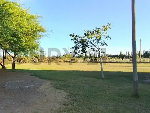 Callejón San Martín entre ruta 34 y ruta 36 , Piso 0