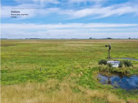 DOLORES- 510 HECTAREAS