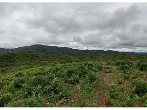 Terreno en Venta en Chamical, USD 30.000