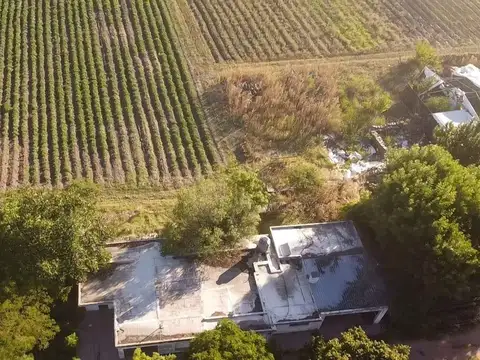 Camino Cuatro Piedras Doctor Hector Secchi