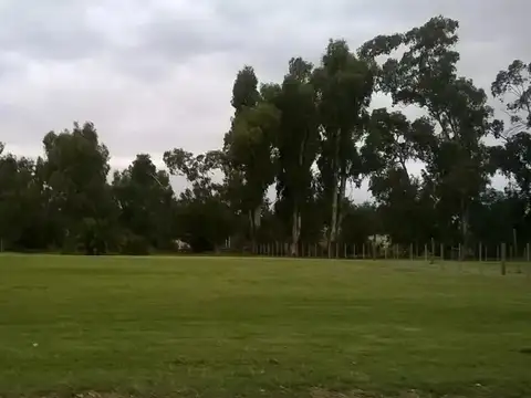 Terreno en Venta – Copetonas, Tres Arroyos