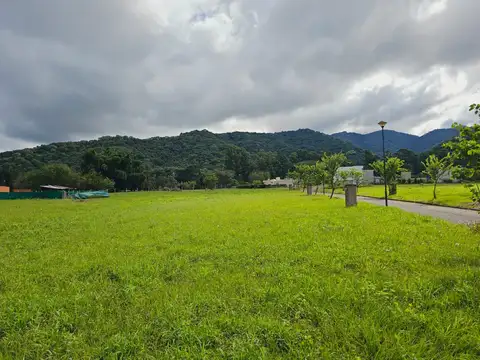 Aires de Pedemonte