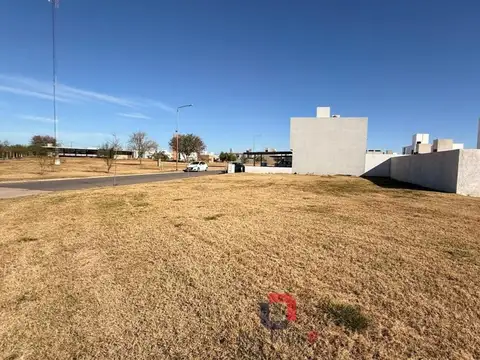 Terreno en San Ignacio Village