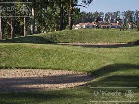 Terreno en Venta 50  mts Fondo