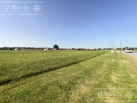 Terreno en Venta de 1500,0 m2