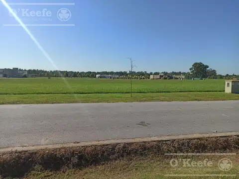 LOTE EN AREA 60 DE 1500 M2.  Anticipo mínimo y financiación 
