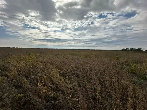 zona Rural