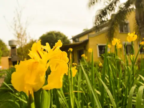 Complejo Turístico con Piscina
