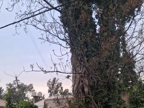 Terreno Con Casa En La Loma C:m060v