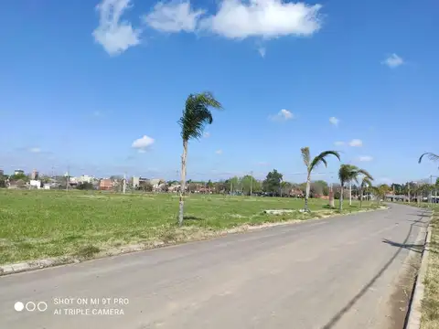 Terreno en Venta 12  mts Fondo