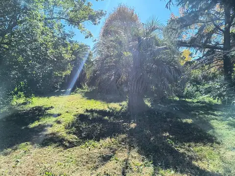 Valparaíso 100