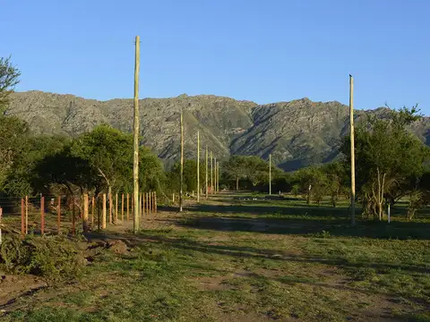 Terreno en Cortaderas