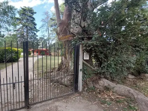 Los Carpinteros al 70