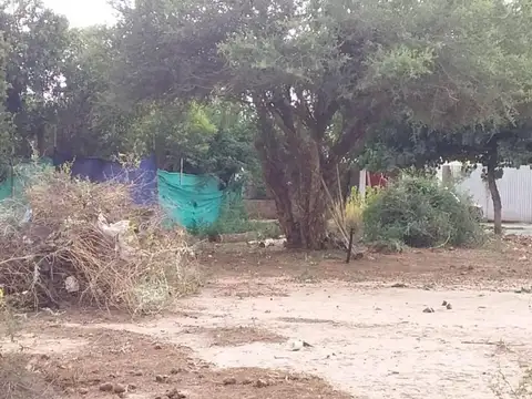 Terreno en Venta de 1248,0 m2