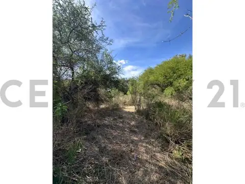 Terreno en Venta de 4068,0 m2