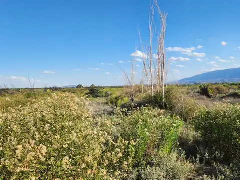 Terreno en Venta en Pocito, San Juan